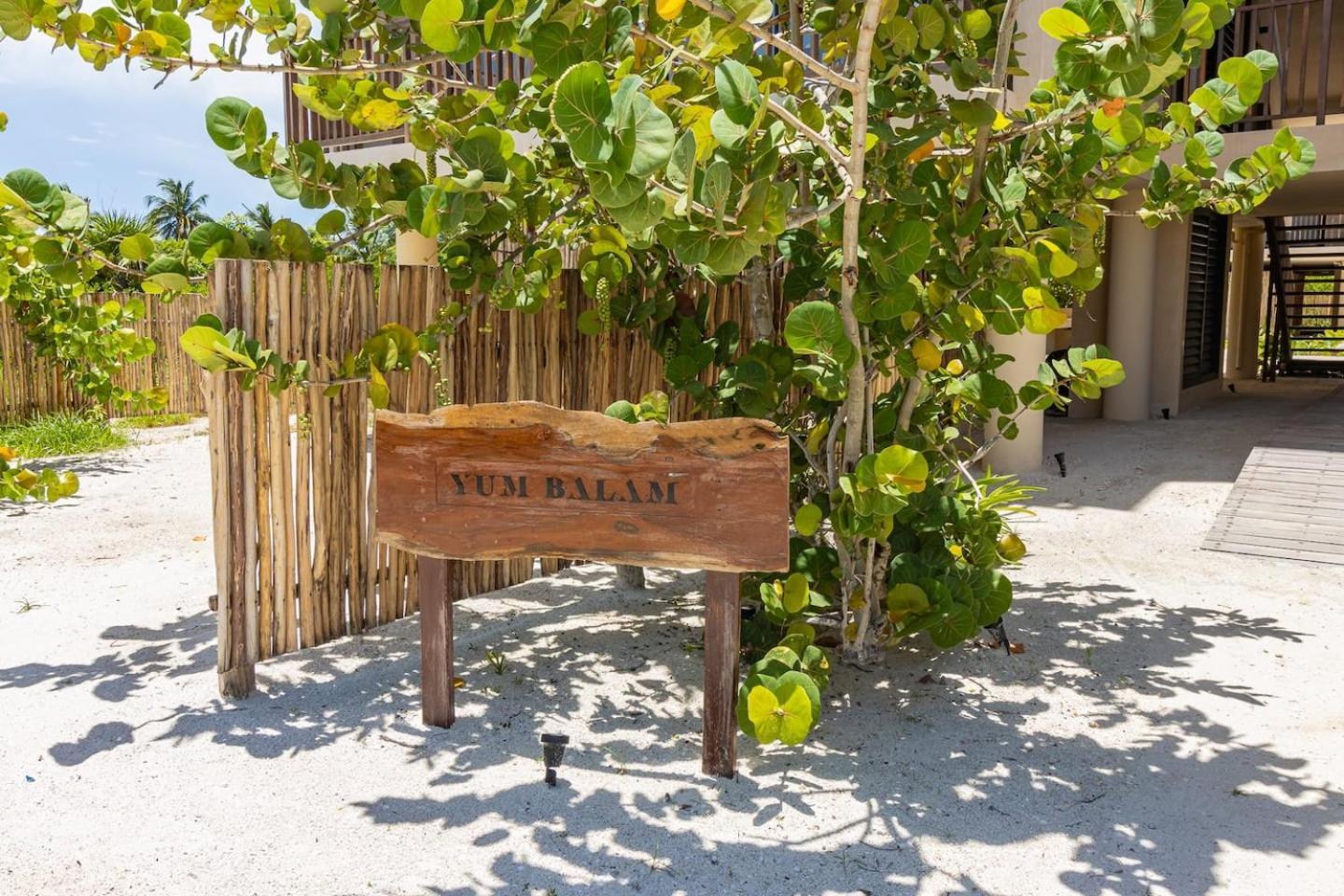 Ocean View Loft In Punta Cocos - C102 Hotel Isla Holbox Ngoại thất bức ảnh